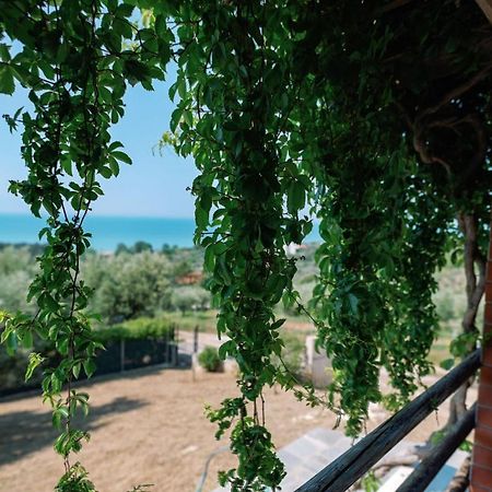 Villa Aiolos Alexandrupoli Exteriér fotografie