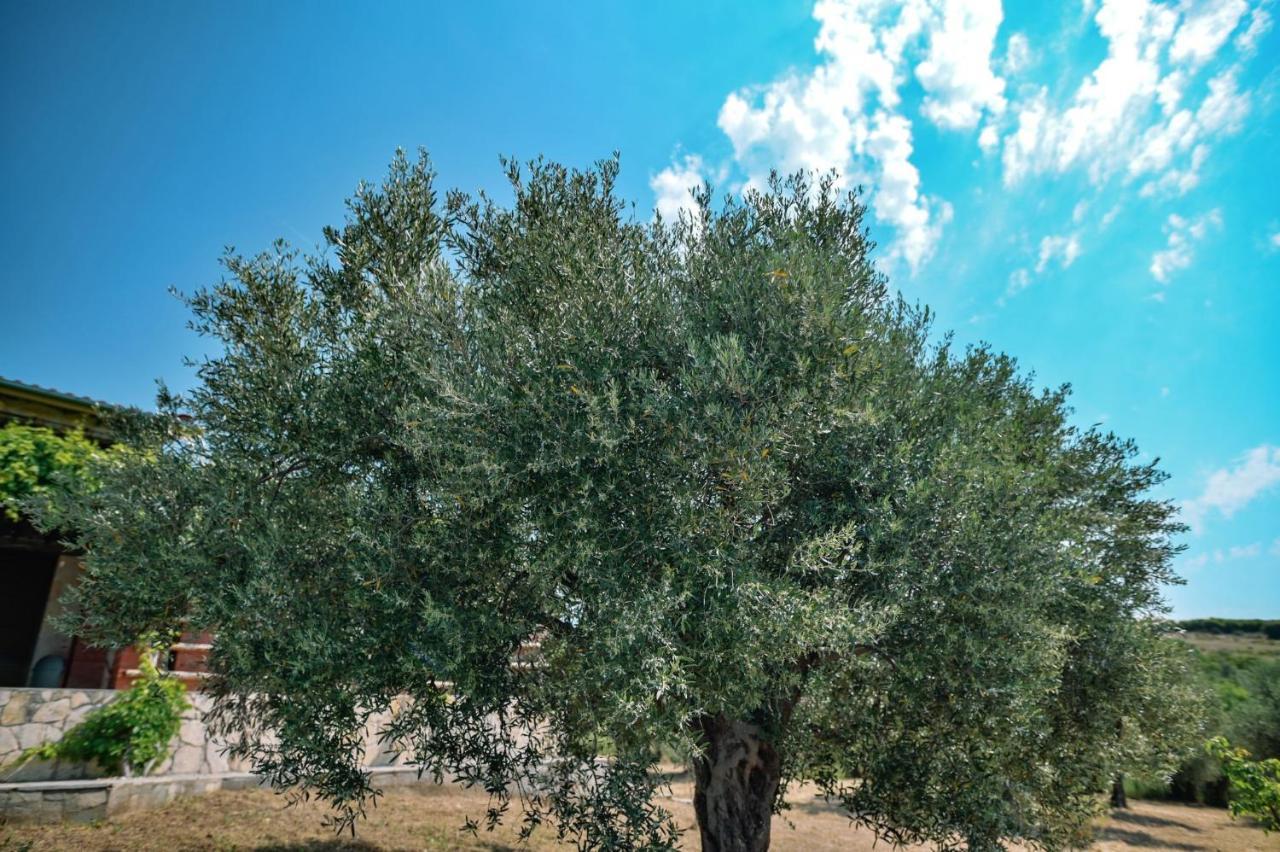 Villa Aiolos Alexandrupoli Exteriér fotografie
